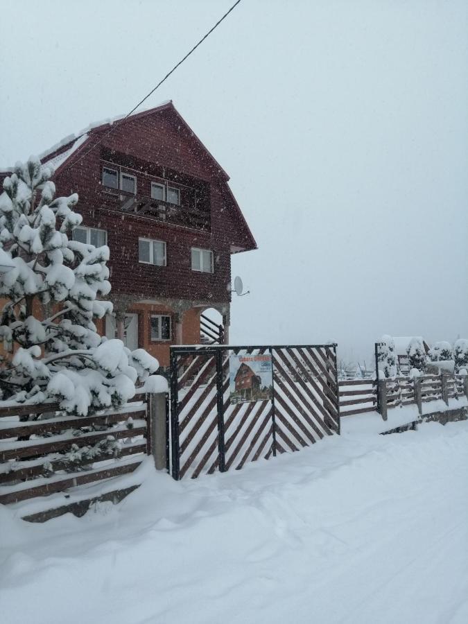 Cabana Ghetari Экстерьер фото